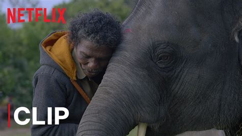 elephant christmas movie|the real elephants movie netflix.